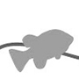 Anacostia Riverkeeper Logo